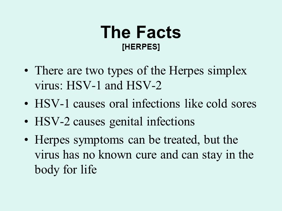 Facts of Herpes
